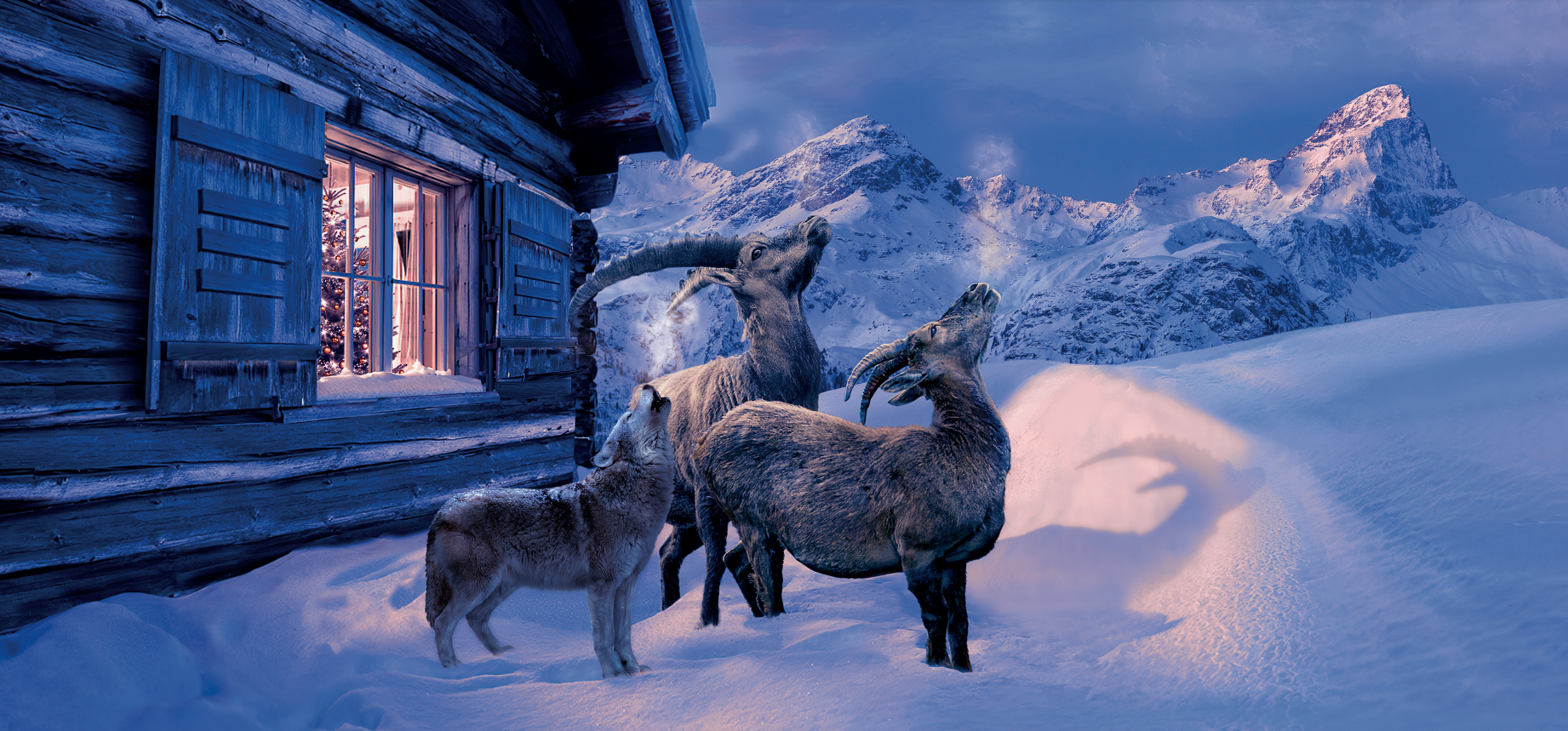 Ein Wolf und ein paar Steinböcke stehen heulend for einer Holzhütte